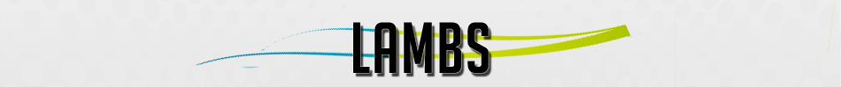 Lambs